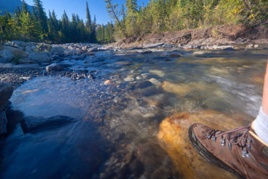 Stepping on a rock in a river lined by trees