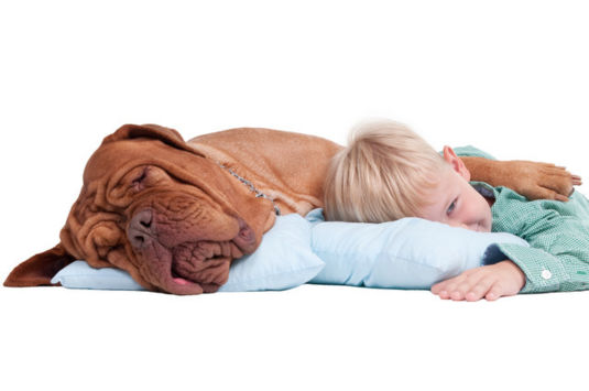 Dog laying down with its pay over a child laying down next to it